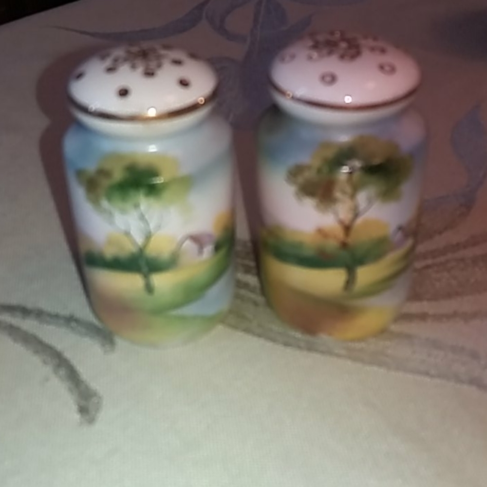 Vintage Japanese salt and pepper shakers